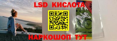 прущие грибы Бузулук