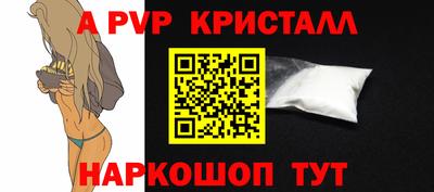 СК Будённовск